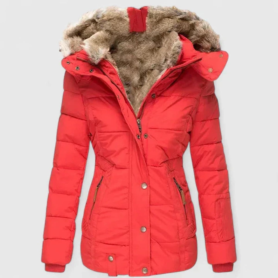 Damen Winterjacke Tailliert mit Kapuze